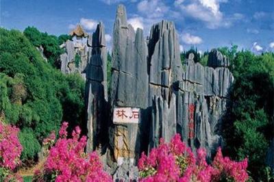 石林景區(qū)“五一”力推會(huì)員卡，200元暢游四大主景區(qū)全年無限次
